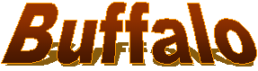 buffalo